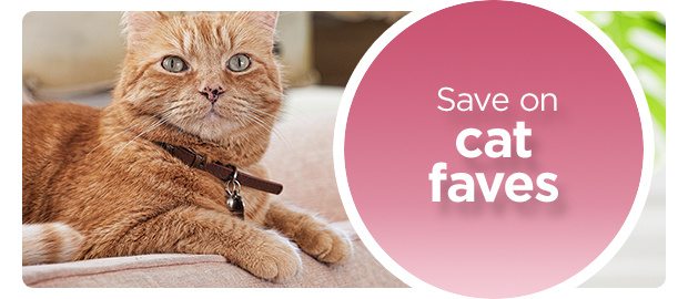 Save on cat faves.