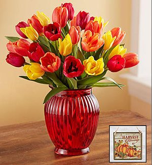 Assorted Fall Tulips SHOP NOW