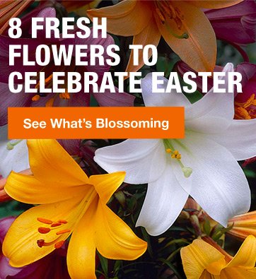 8 FRESH FLOWERS TO CELEBRATE EASTER