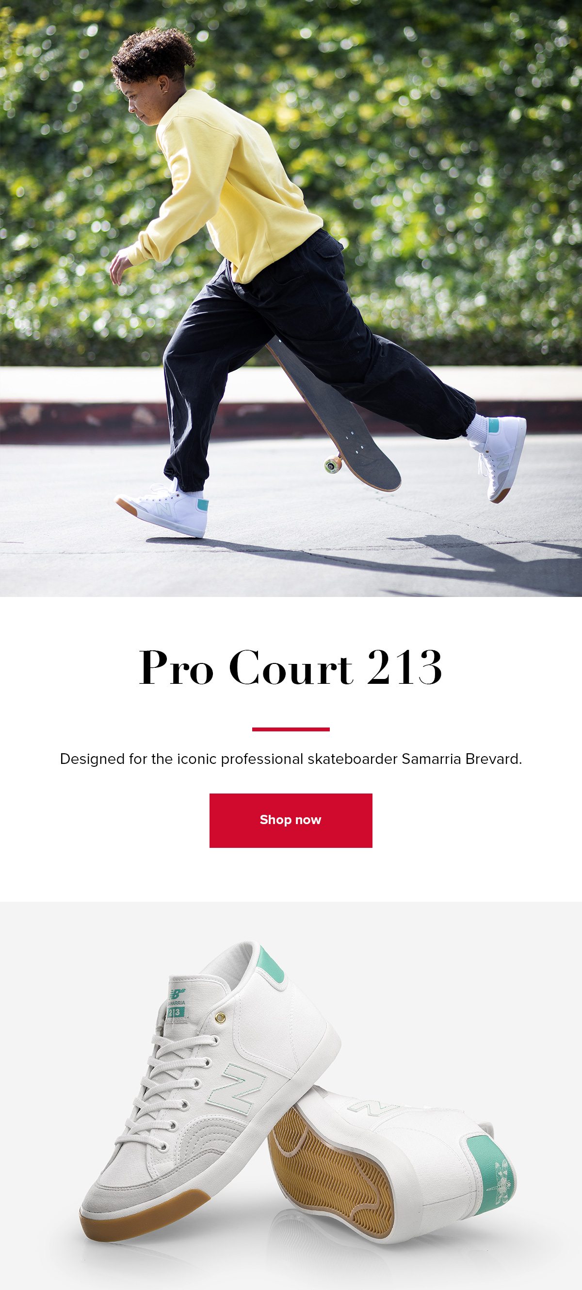 Shop the Pro Court 213