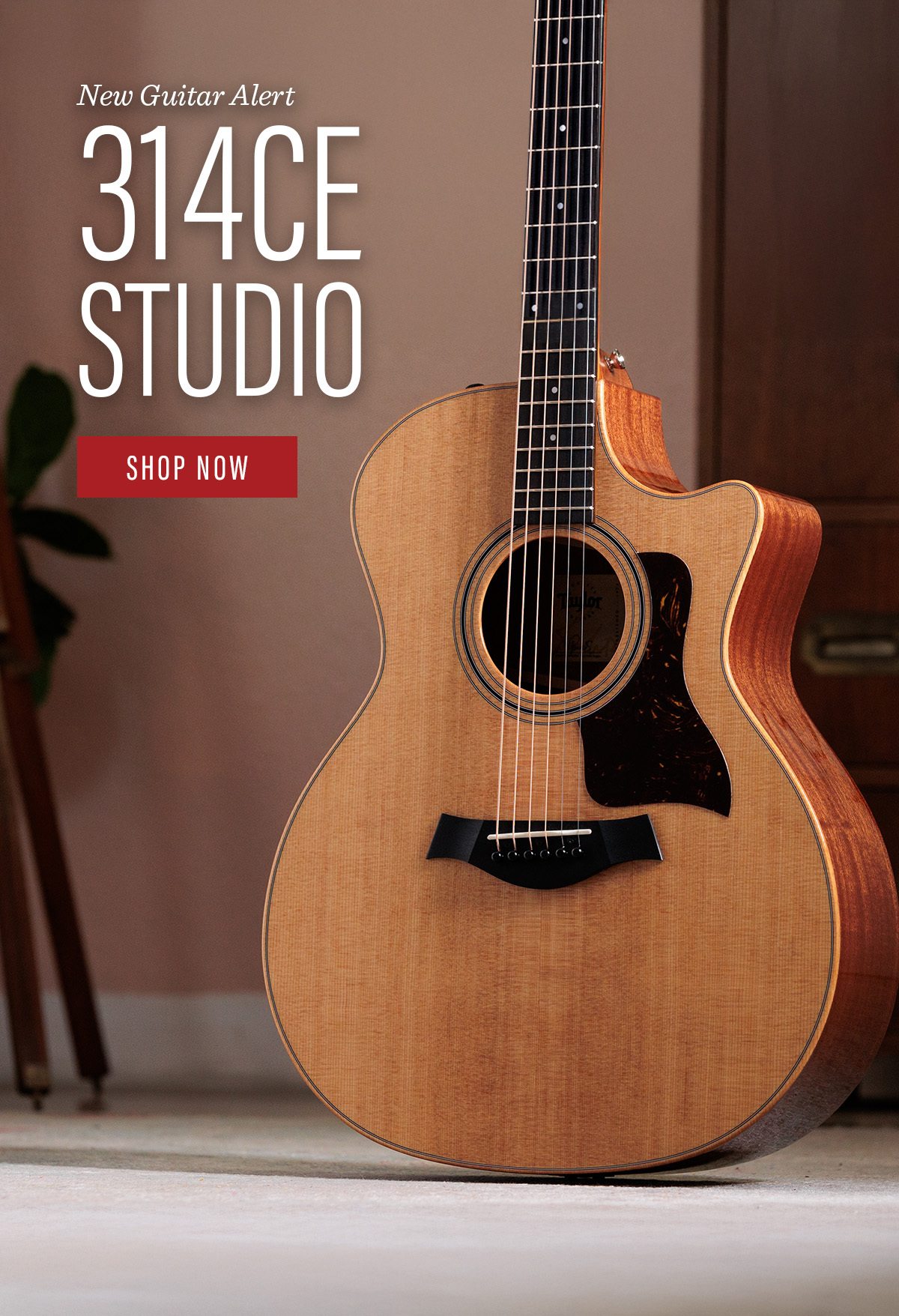 New Guitar Alert: 314ce Studio