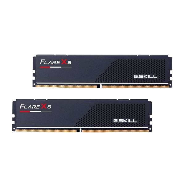 G.Skill Flare X5 48GB (2 x 24GB) DDR5-5200 PC5-41600 CL40 Dual Channel Desktop Memory Kit