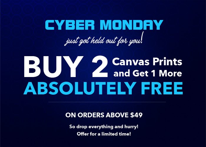 Get one canvas print free over the first two at just $49!