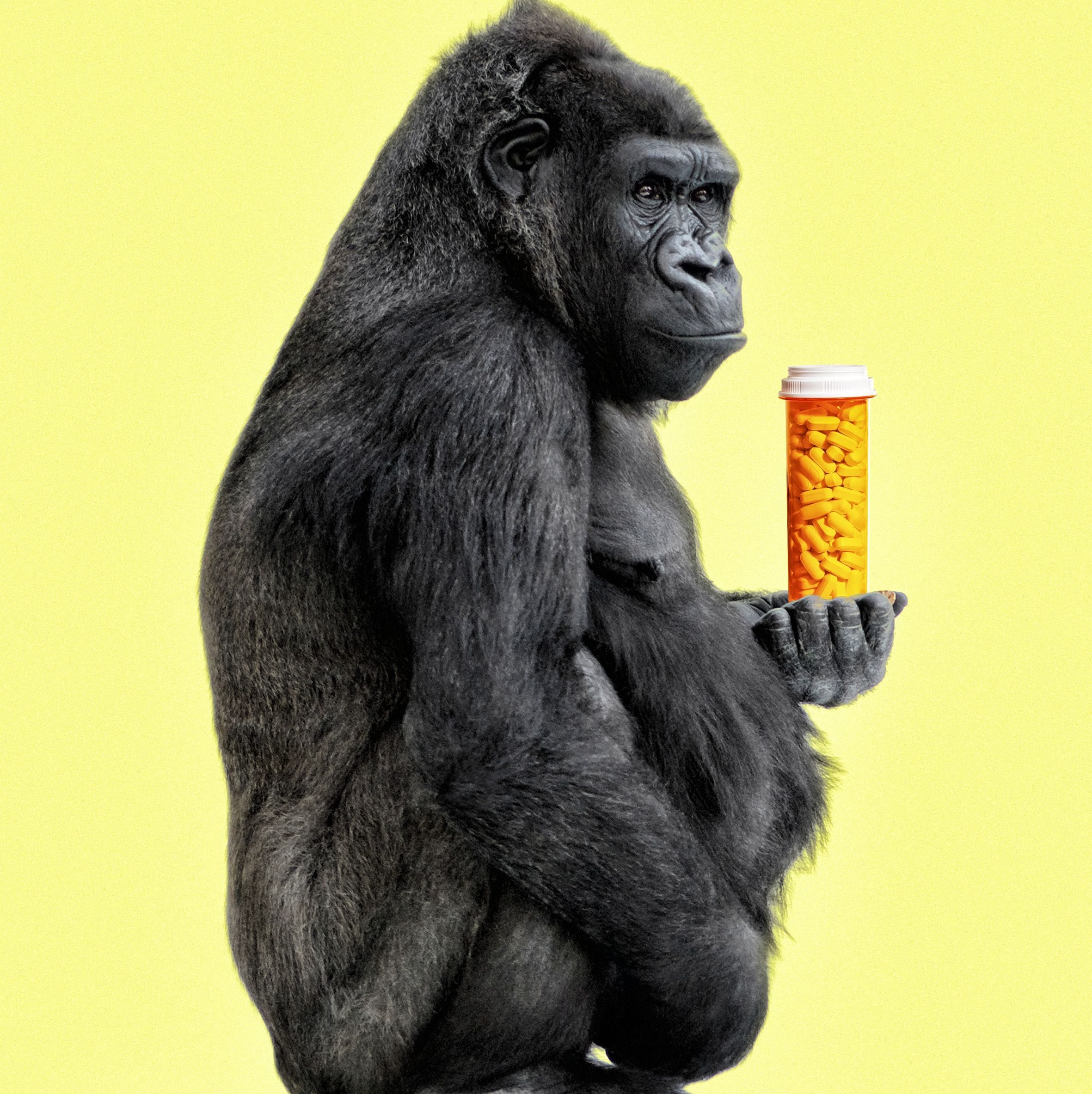 What You Need to Know Before You Take Testosterone
