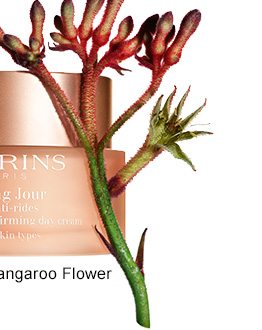 Kangaroo Flower