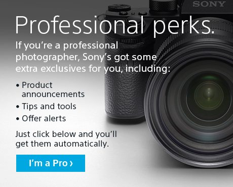 Professional Perks. | If you're a professoinal photographer, Sony's got some extra exclusives for you, including: | Product announcements | Tips and tools | offer alerts | Just click below and you'll get them automatically. | Im a Pro