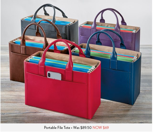 Shop LevTex Portable File Tote