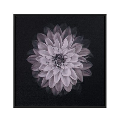 Dahlia Wall Art