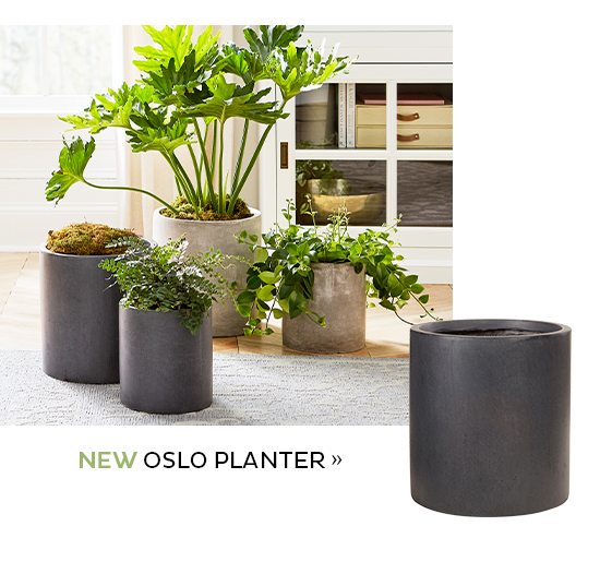 Oslo Planter