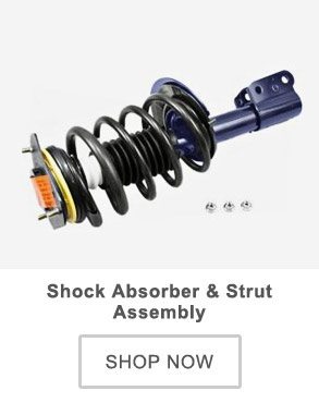 Shock Absorber and Strut Assembly