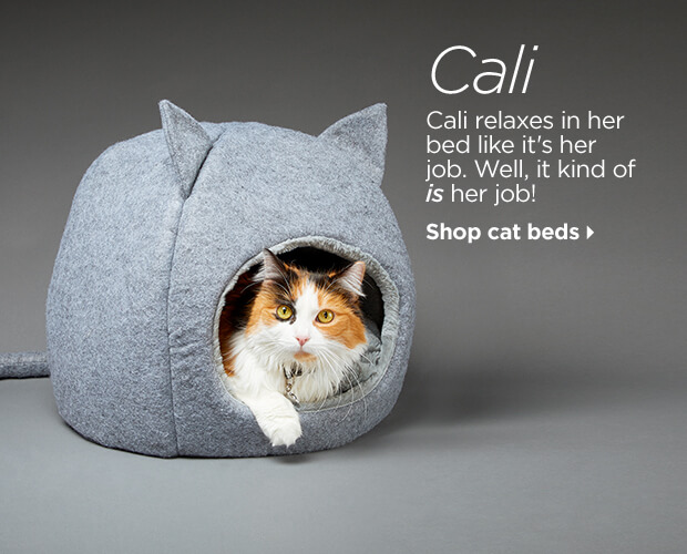 Cali. Cali relaxes in her bed like it's her job. Well, it kind of is her job! Shop cat beds.