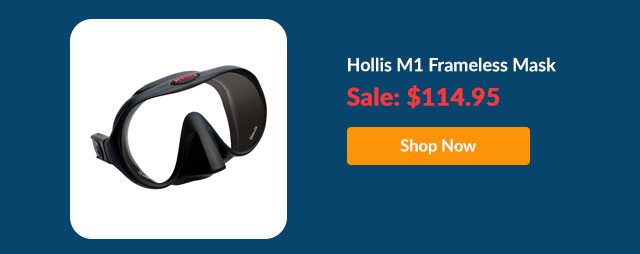 Hollis M1 Frameless Mask - Shop Now