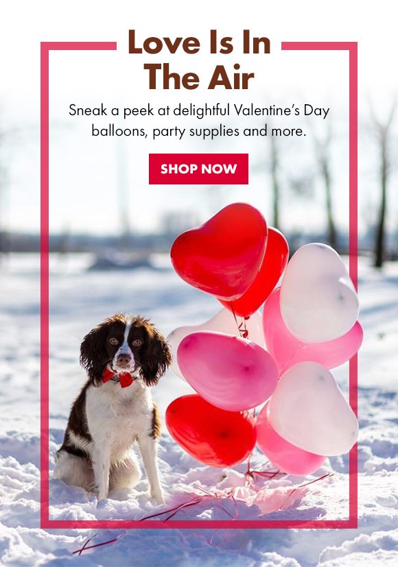 Love Is In The Air | Sneak a peek at delightful Valentine's Day balloons, party supplies and more. | SHOP NOW
