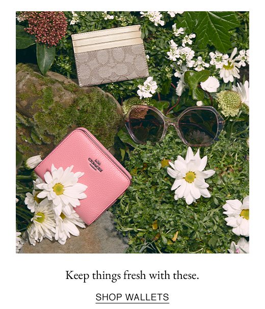 Keep things fresh with these. SHOP WALLETS