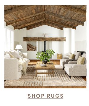 Shop Rugs