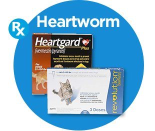 Heartworm.