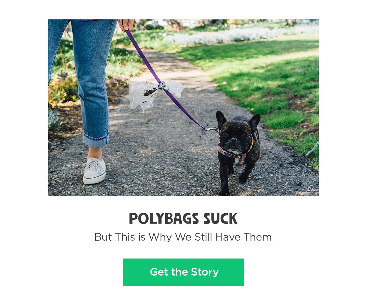 Polybags Suck But This is Why We Still Have Them