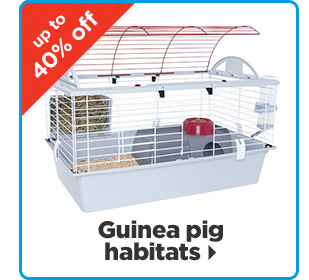 Up to 40% off guinea pig habitats >