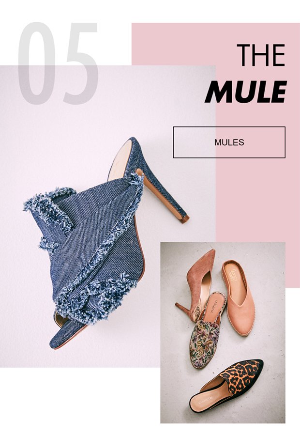 05 THE MULE | MULES