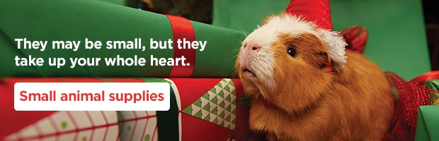 They may be small, but they take up your whole heart. Small animal supplies. 