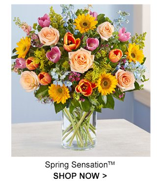 Spring Sensation