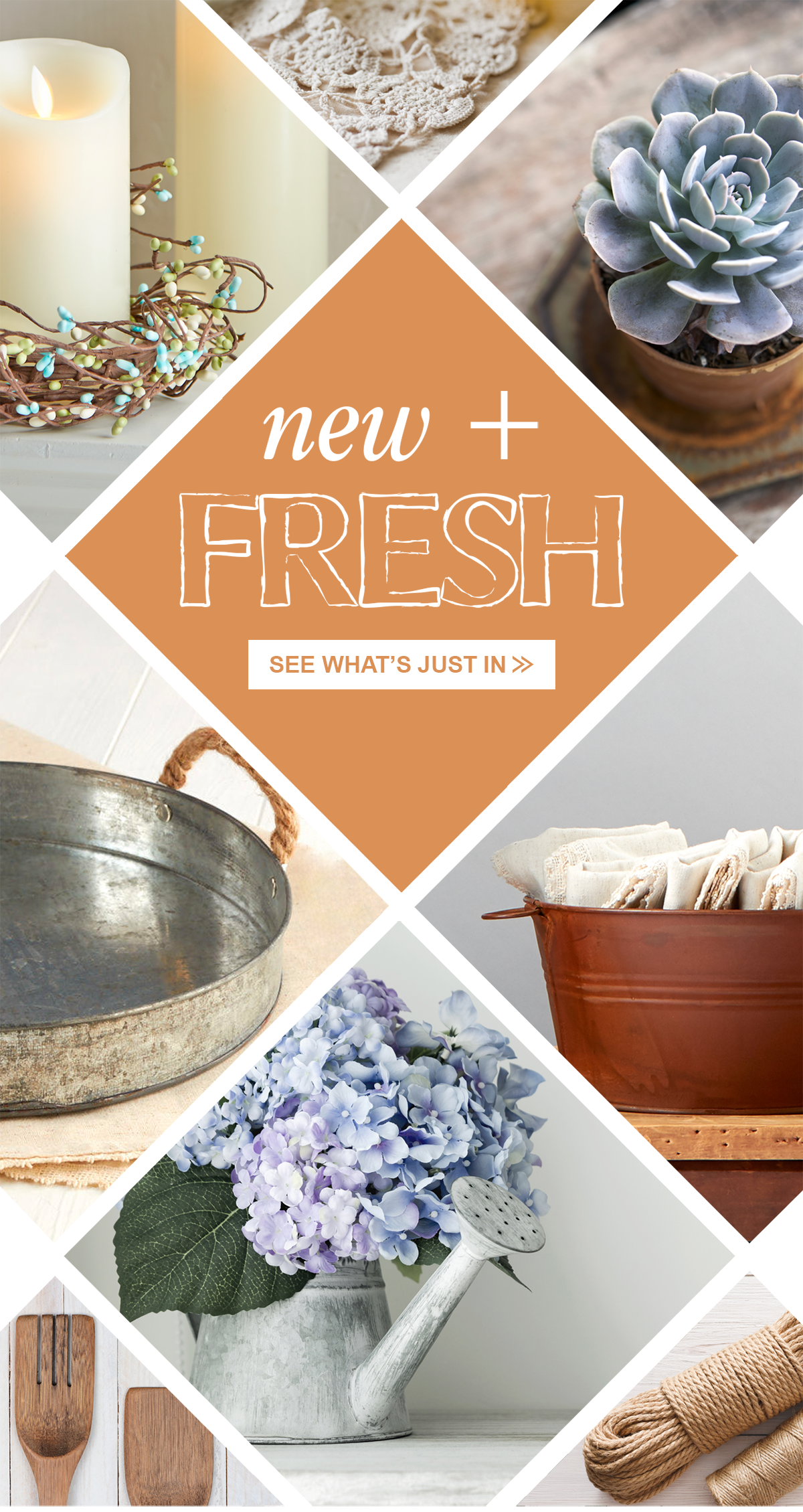 New + Fresh. See what's just in.