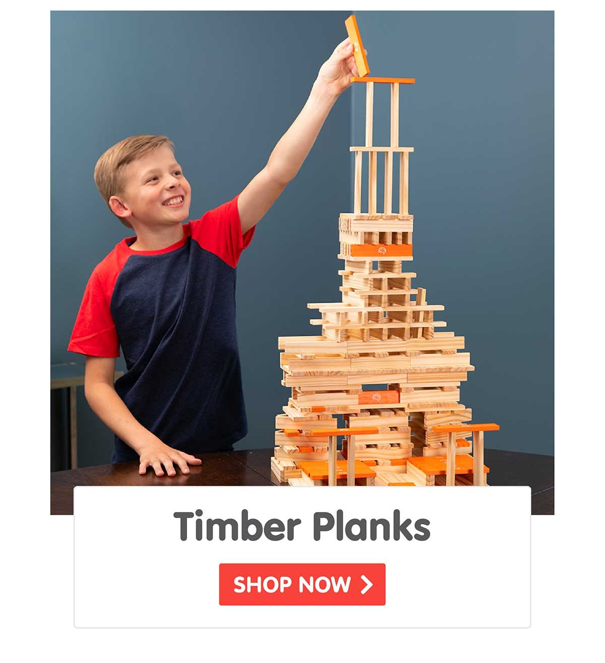 Timber Planks 300 Piece Set