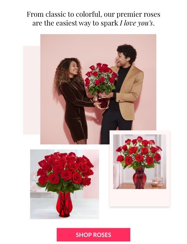 SHOP ROSES