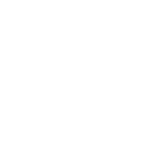 Customer Service