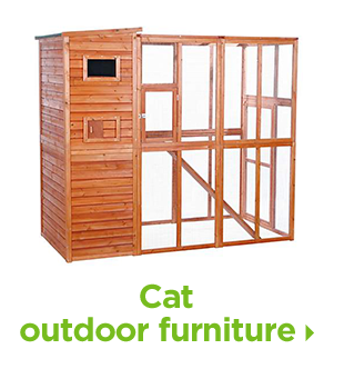 Cat outdoor furniture.