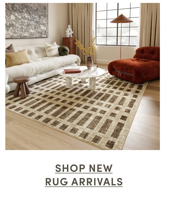 Shop New Rug Arrivals