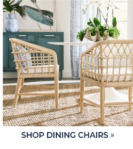 Shop Dining Chairs