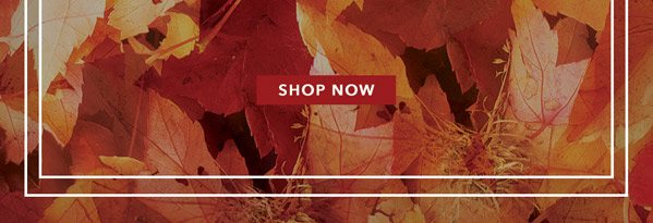 Thanksgiving Sale at U.S. Polo Assn.