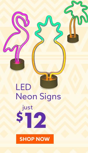 LED Neon Lights $12