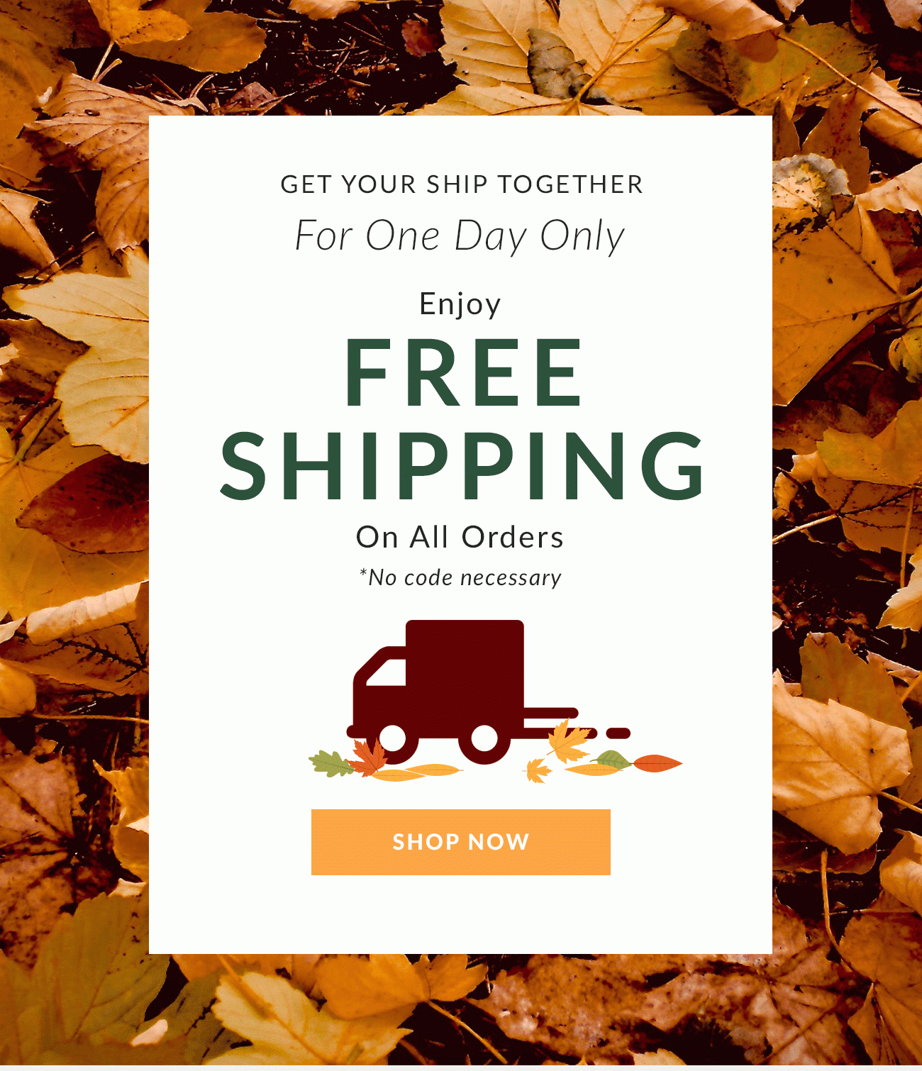 For One Day Only Enjoy Free Shipping On All Orders - Shop Now
