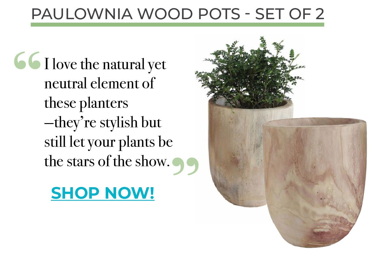 Paulownia Wood Pots - Set of 2