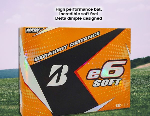 Bridgestone E6 Soft Golf Balls - Dozen