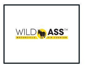 Wild Ass