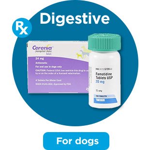 Digestive. For dogs.