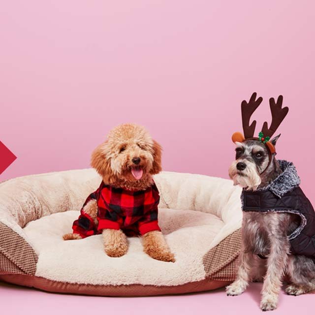 Gifts For Pets