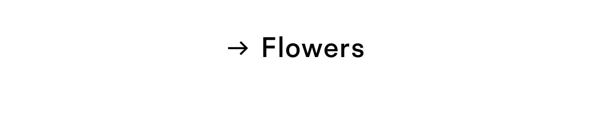 Shop Flowers