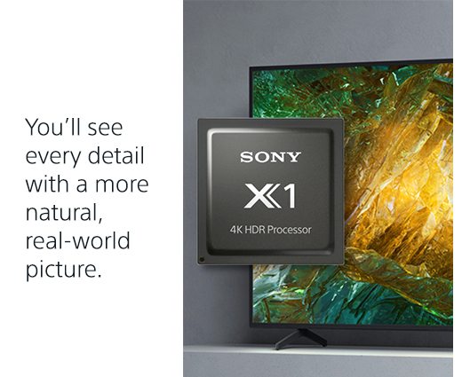 You’ll see every detail with a more natural, real-world picture. | SONY X1 4K HDR Processor