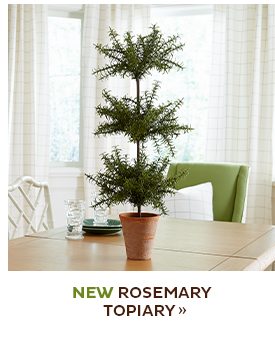 Rosemary Topiary