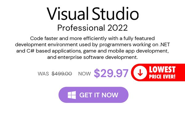 Microsoft Visual Studio Professional 2022