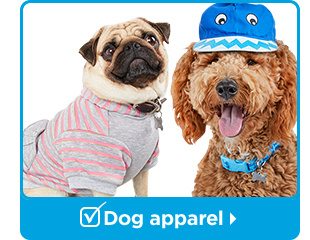Dog apparel.