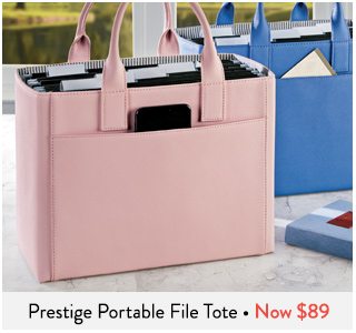 Prestige Portable File Tote