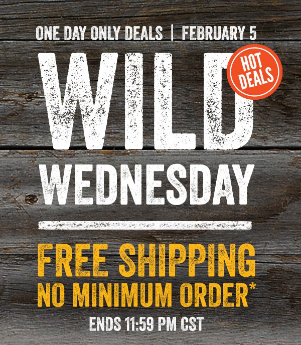 Wild Wednesday