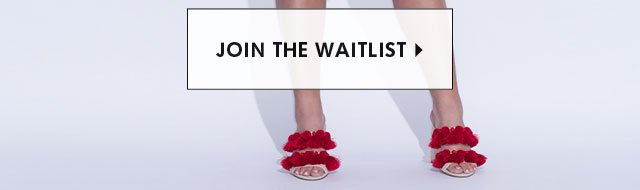 Waitlist hero 4