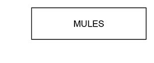 MULES