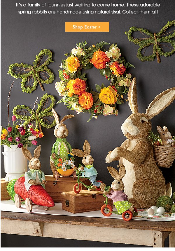 Meet The Cottontails Easter S Cutest Bunnies Country Door